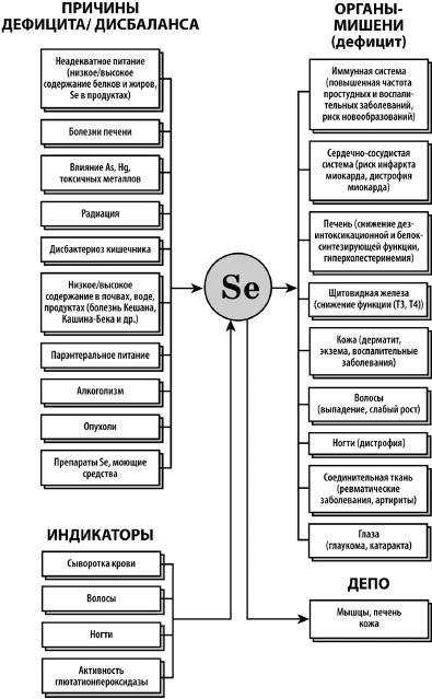 Микроэлементы. Бодрость, здоровье, долголетие Микроэлементы. Бодрость, здоровье, долголетие