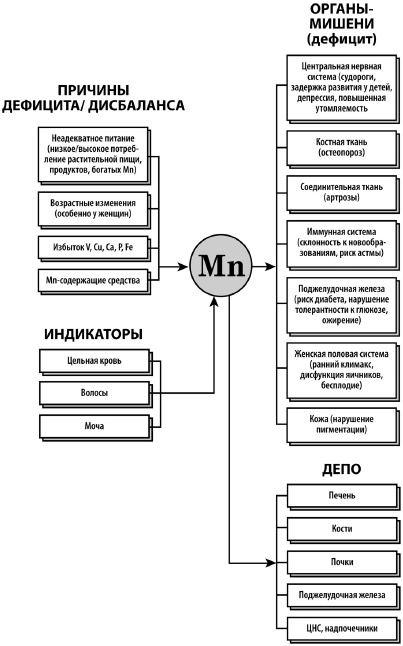 Микроэлементы. Бодрость, здоровье, долголетие Микроэлементы. Бодрость, здоровье, долголетие
