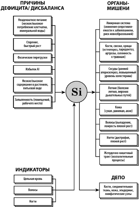 Микроэлементы. Бодрость, здоровье, долголетие Микроэлементы. Бодрость, здоровье, долголетие