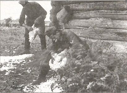 1941 год глазами немцев. Березовые кресты вместо железных