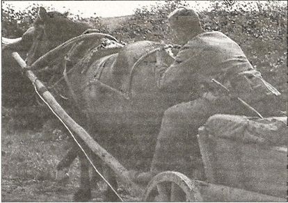 1941 год глазами немцев. Березовые кресты вместо железных 1941 год глазами немцев. Березовые кресты вместо железных