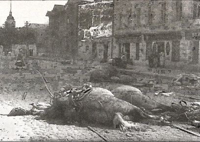 1941 год глазами немцев. Березовые кресты вместо железных 1941 год глазами немцев. Березовые кресты вместо железных