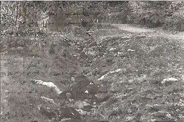 1941 год глазами немцев. Березовые кресты вместо железных