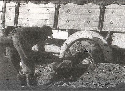 1941 год глазами немцев. Березовые кресты вместо железных 1941 год глазами немцев. Березовые кресты вместо железных