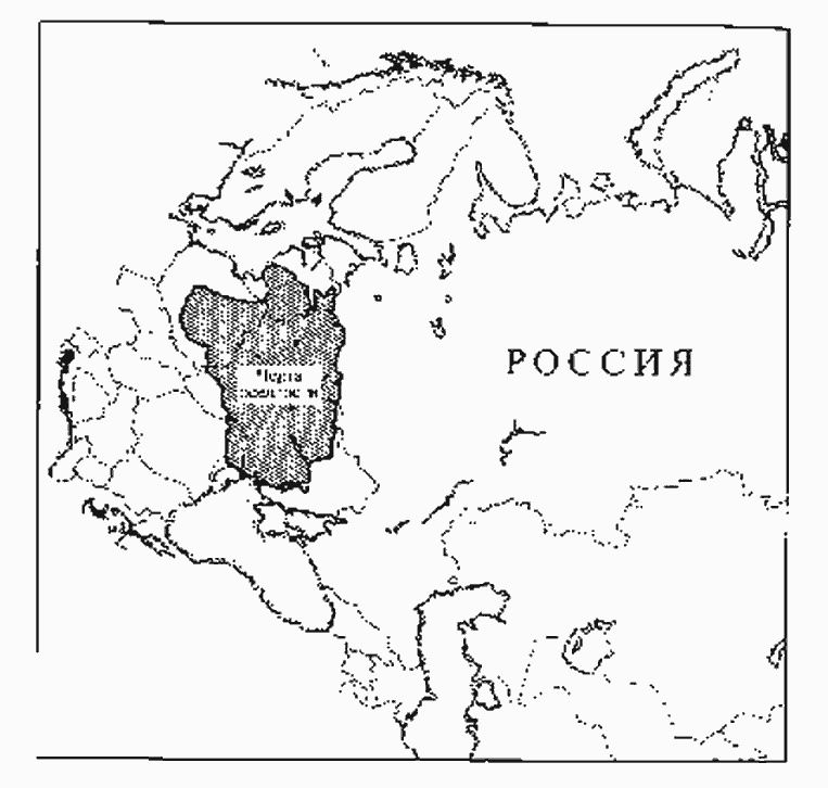 Золотая страна. Нью-Йорк, 1903. Дневник американской девочки Зиппоры Фельдман Золотая страна. Нью-Йорк, 1903. Дневник американской девочки Зиппоры Фельдман