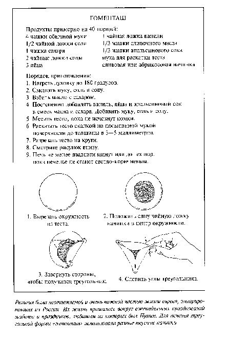 Золотая страна. Нью-Йорк, 1903. Дневник американской девочки Зиппоры Фельдман Золотая страна. Нью-Йорк, 1903. Дневник американской девочки Зиппоры Фельдман