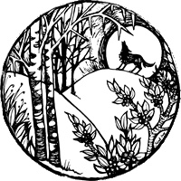 Foxcraft. Книга 3. Снежная магия Foxcraft. Книга 3. Снежная магия