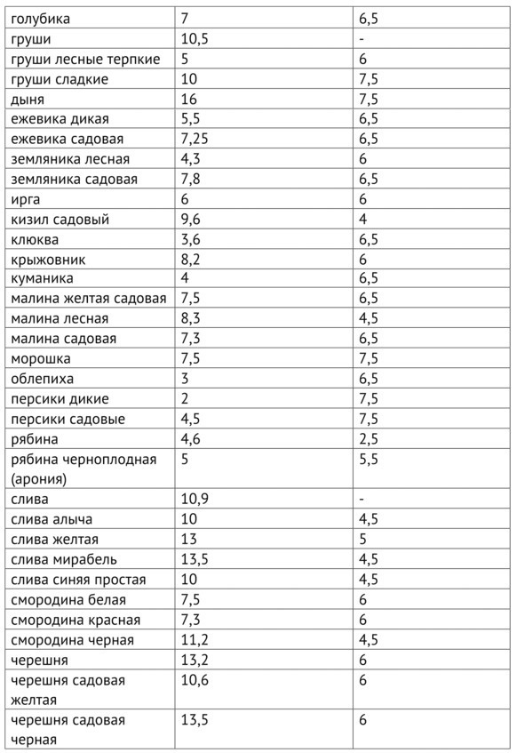 Рецепты Алкофана. Теория и практика приготовления спиртных напитков дома Рецепты Алкофана. Теория и практика приготовления спиртных напитков дома