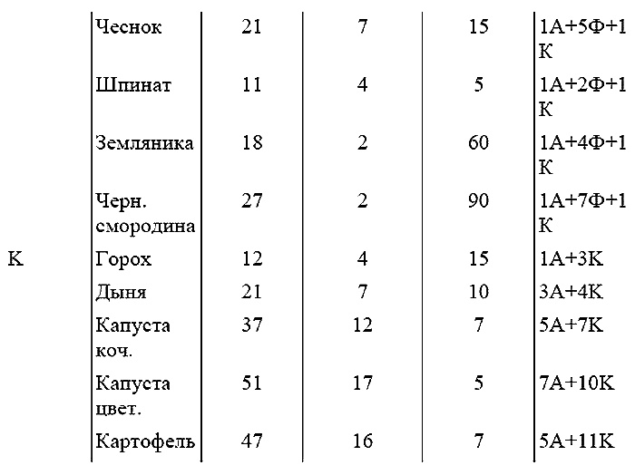 Как посадишь, так и поешь. Агротехника на шести сотках