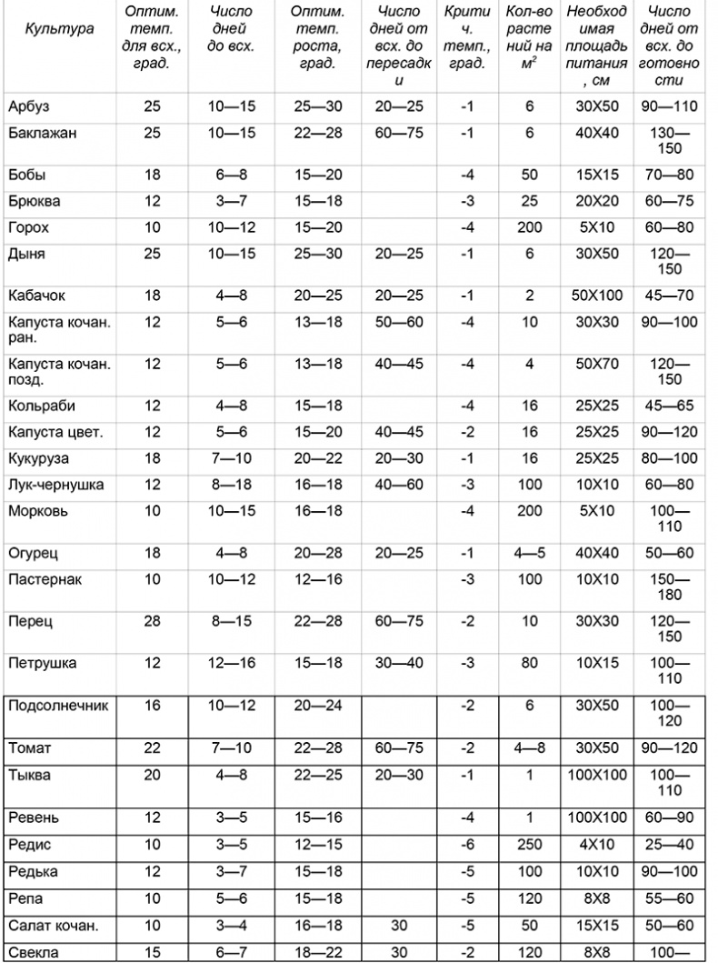 Крепкая рассада — богатый урожай. Все секреты опытного огородника