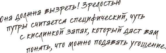 Что мы ели в СССР. Рецепты на все времена Что мы ели в СССР. Рецепты на все времена