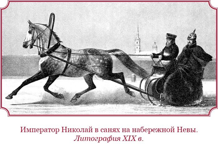 Мое самодержавное правление Мое самодержавное правление