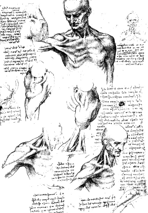Леонардо да Винчи. О науке и искусстве Леонардо да Винчи. О науке и искусстве