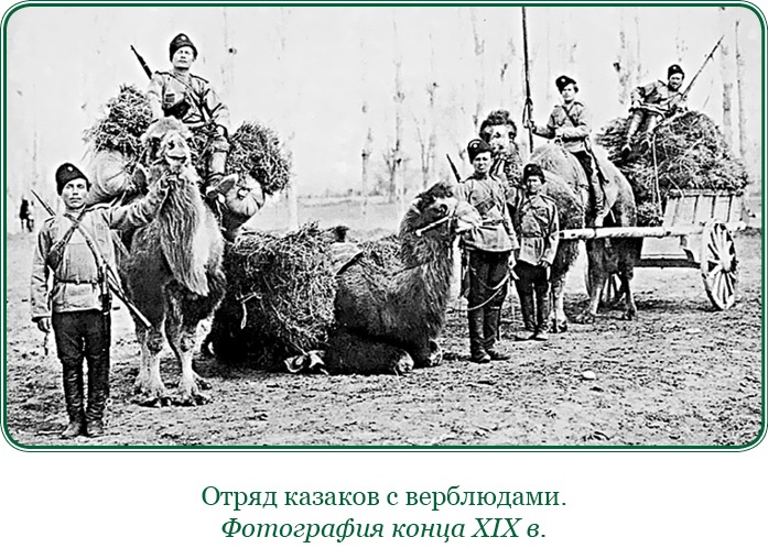 Стою за правду и за армию! Стою за правду и за армию!
