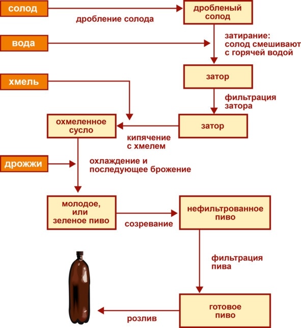 Алкогольные напитки и культура пития. Систематическая энциклопедия от Алкофана Алкогольные напитки и культура пития. Систематическая энциклопедия от Алкофана