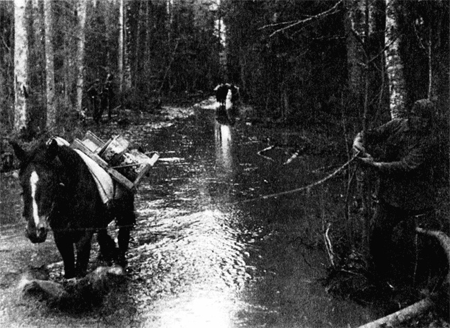 Трагедия на Неве. Шокирующая правда о блокаде Ленинграда. 1941-1944