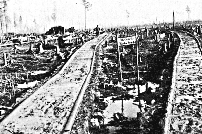 Трагедия на Неве. Шокирующая правда о блокаде Ленинграда. 1941-1944 Трагедия на Неве. Шокирующая правда о блокаде Ленинграда. 1941-1944