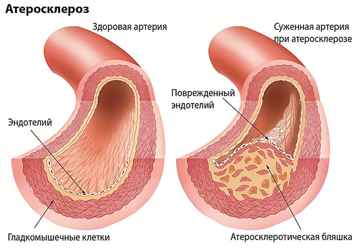 Теломераза. Как сохранить молодость, укрепить здоровье и увеличить продолжительность жизни