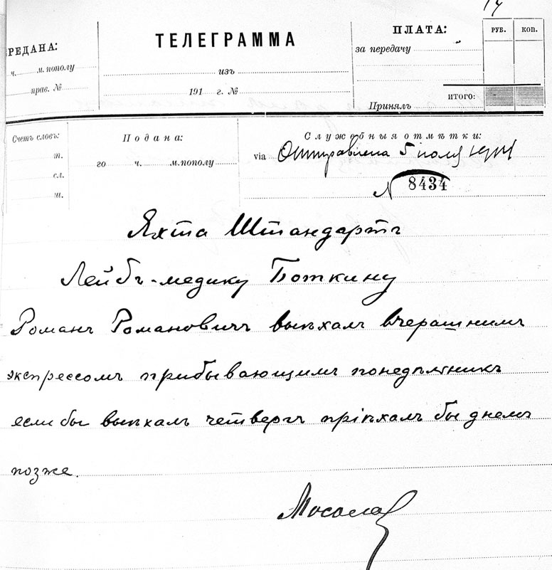 Врачи двора его Императорского величества, или Как лечили царскую семью Врачи двора его Императорского величества, или Как лечили царскую семью
