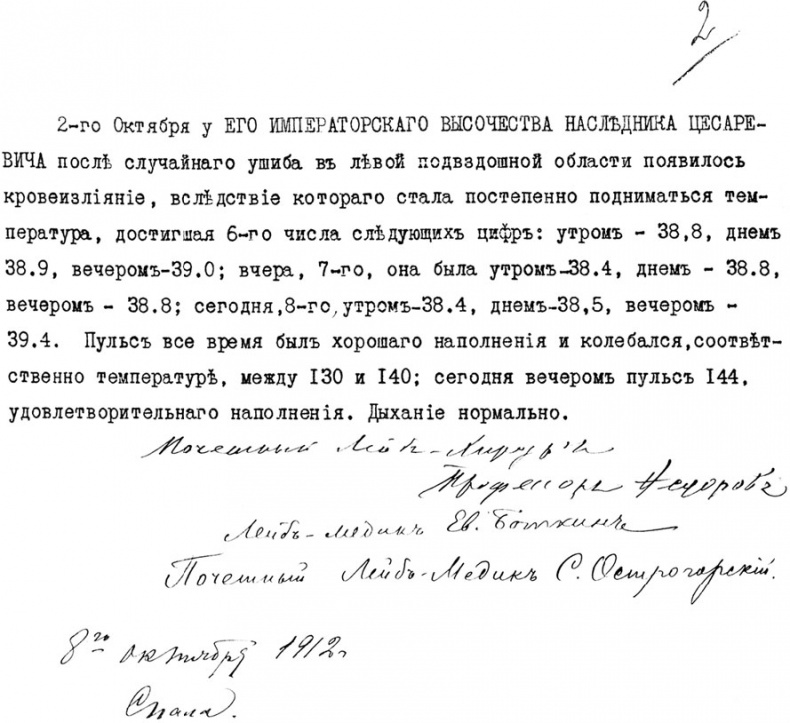 Врачи двора его Императорского величества, или Как лечили царскую семью Врачи двора его Императорского величества, или Как лечили царскую семью