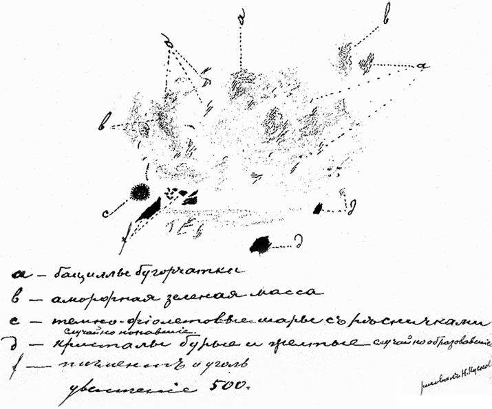 Врачи двора его Императорского величества, или Как лечили царскую семью