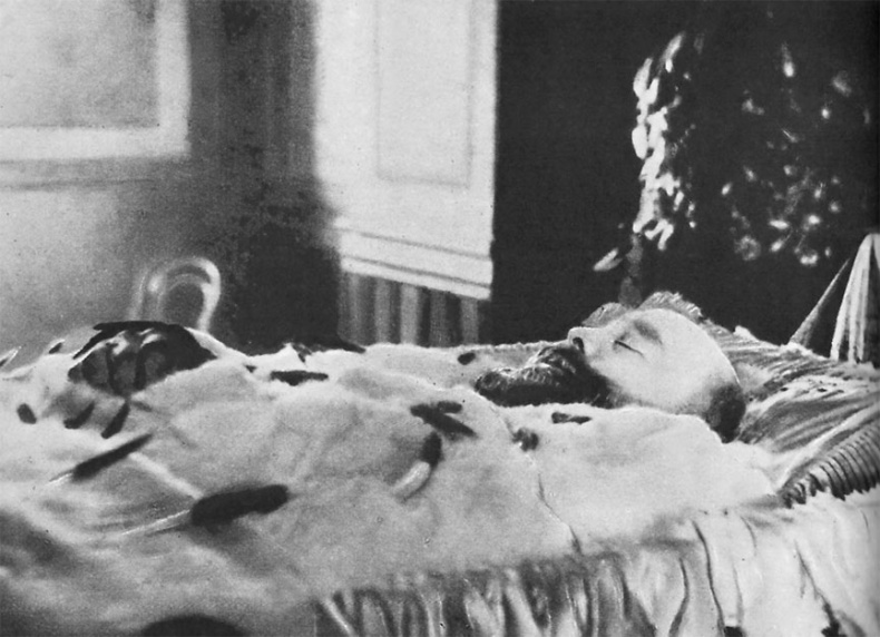 Врачи двора его Императорского величества, или Как лечили царскую семью Врачи двора его Императорского величества, или Как лечили царскую семью