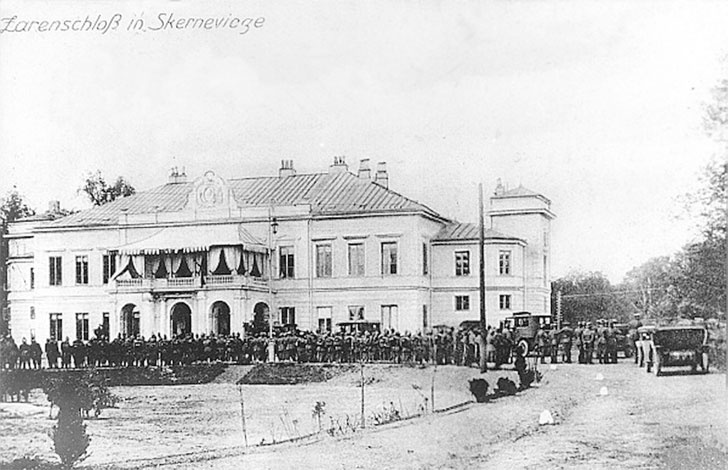 Врачи двора его Императорского величества, или Как лечили царскую семью Врачи двора его Императорского величества, или Как лечили царскую семью