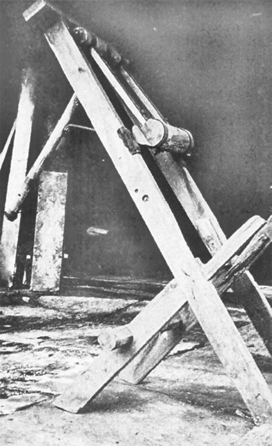 Врачи двора его Императорского величества, или Как лечили царскую семью Врачи двора его Императорского величества, или Как лечили царскую семью