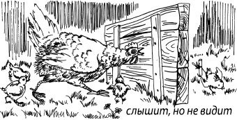 Занимательная психология