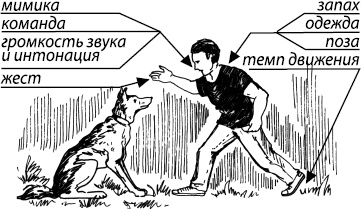 Занимательная психология