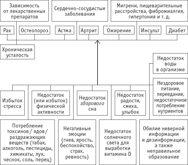 Веганское сыроедение и здоровый образ жизни