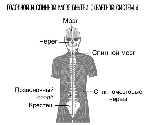 Сверхъестественный разум. Как обычные люди делают невозможное с помощью силы подсознания Сверхъестественный разум. Как обычные люди делают невозможное с помощью силы подсознания