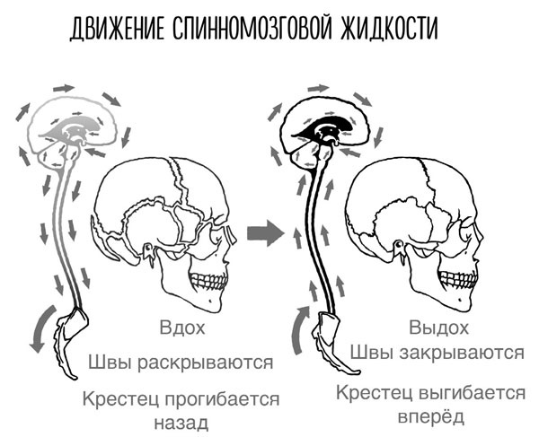 Сверхъестественный разум. Как обычные люди делают невозможное с помощью силы подсознания Сверхъестественный разум. Как обычные люди делают невозможное с помощью силы подсознания