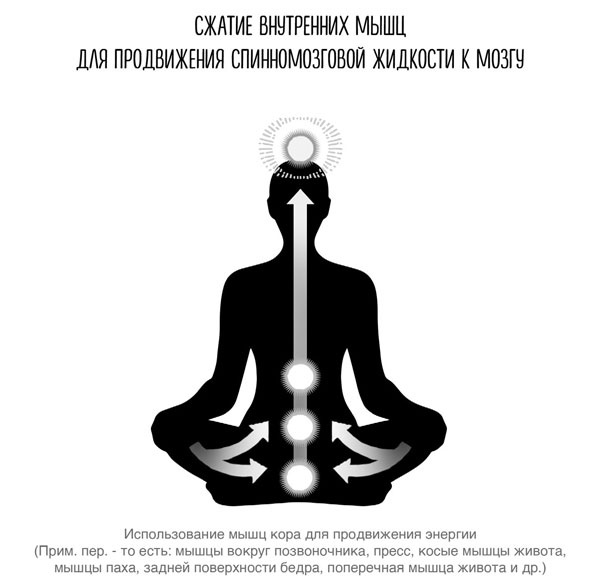 Сверхъестественный разум. Как обычные люди делают невозможное с помощью силы подсознания Сверхъестественный разум. Как обычные люди делают невозможное с помощью силы подсознания