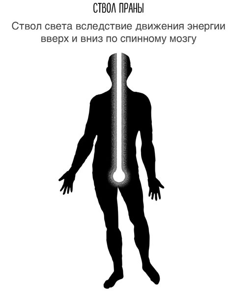 Сверхъестественный разум. Как обычные люди делают невозможное с помощью силы подсознания Сверхъестественный разум. Как обычные люди делают невозможное с помощью силы подсознания