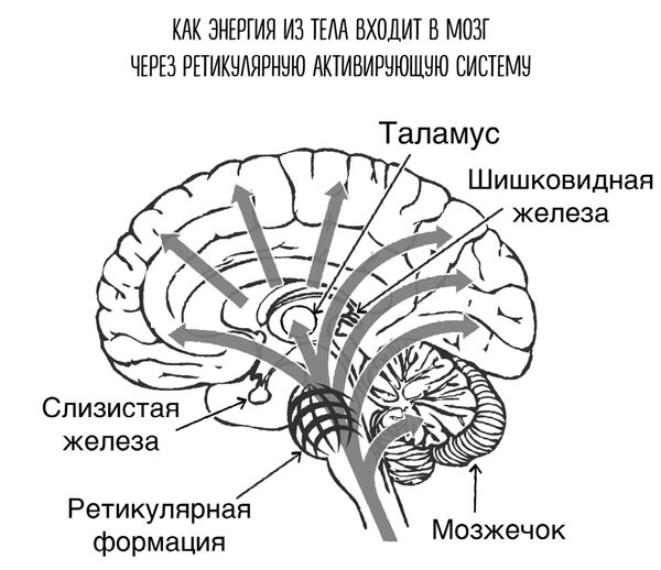 Сверхъестественный разум. Как обычные люди делают невозможное с помощью силы подсознания Сверхъестественный разум. Как обычные люди делают невозможное с помощью силы подсознания