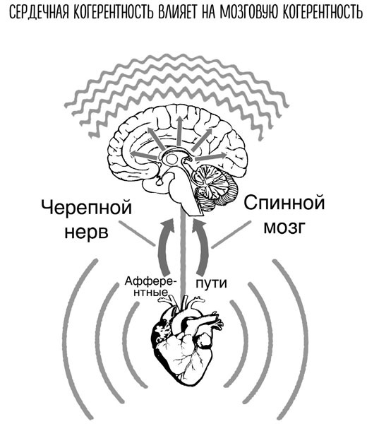 Сверхъестественный разум. Как обычные люди делают невозможное с помощью силы подсознания Сверхъестественный разум. Как обычные люди делают невозможное с помощью силы подсознания