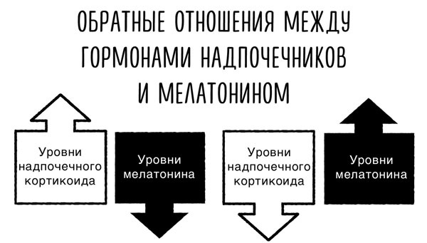 Сверхъестественный разум. Как обычные люди делают невозможное с помощью силы подсознания Сверхъестественный разум. Как обычные люди делают невозможное с помощью силы подсознания