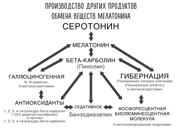 Сверхъестественный разум. Как обычные люди делают невозможное с помощью силы подсознания Сверхъестественный разум. Как обычные люди делают невозможное с помощью силы подсознания