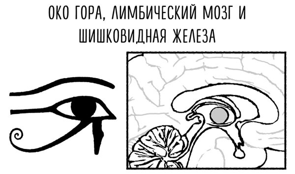 Сверхъестественный разум. Как обычные люди делают невозможное с помощью силы подсознания Сверхъестественный разум. Как обычные люди делают невозможное с помощью силы подсознания