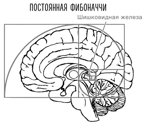 Сверхъестественный разум. Как обычные люди делают невозможное с помощью силы подсознания Сверхъестественный разум. Как обычные люди делают невозможное с помощью силы подсознания