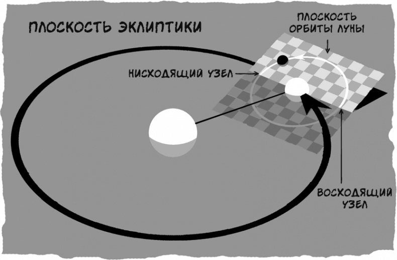 Тайны чисел. Математическая одиссея Тайны чисел. Математическая одиссея