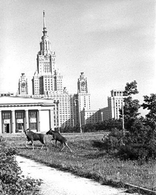 Как было на самом деле. Каждая история желает быть рассказанной Как было на самом деле. Каждая история желает быть рассказанной