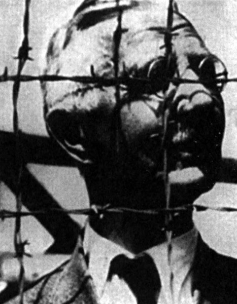 Главный финансист Третьего рейха. Признание старого лиса. 1923-1948 Главный финансист Третьего рейха. Признание старого лиса. 1923-1948