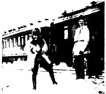 Алехин Алехин