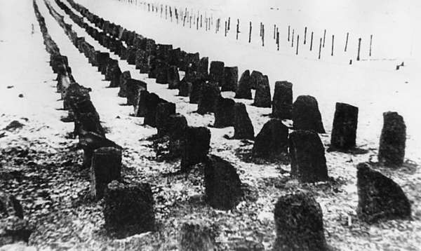 Зимняя война: «Ломят танки широкие просеки» Зимняя война: «Ломят танки широкие просеки»