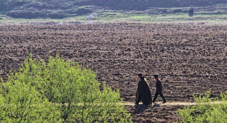 Белый медведь в стране драконов