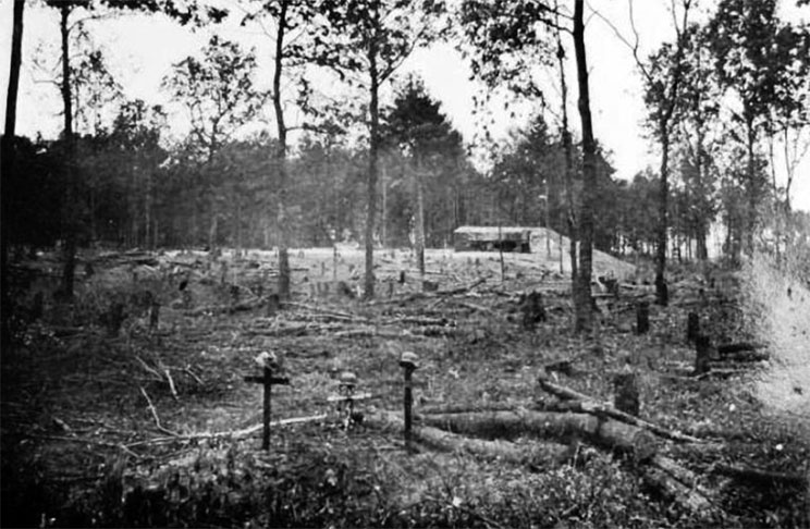 Вторжение. 22 июня 1941 года Вторжение. 22 июня 1941 года