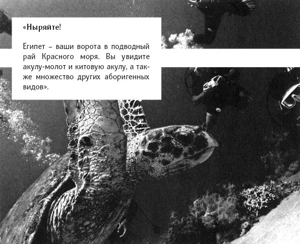 Убедительное письмо. Как использовать силу слов Убедительное письмо. Как использовать силу слов