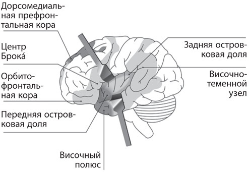 Как рождаются эмоции. Революция в понимании мозга и управлении эмоциями Как рождаются эмоции. Революция в понимании мозга и управлении эмоциями